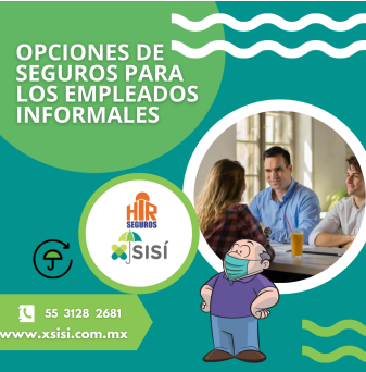 OPCIONES DE SEGUROS PARA LOS EMPLEOS INFORMALES
